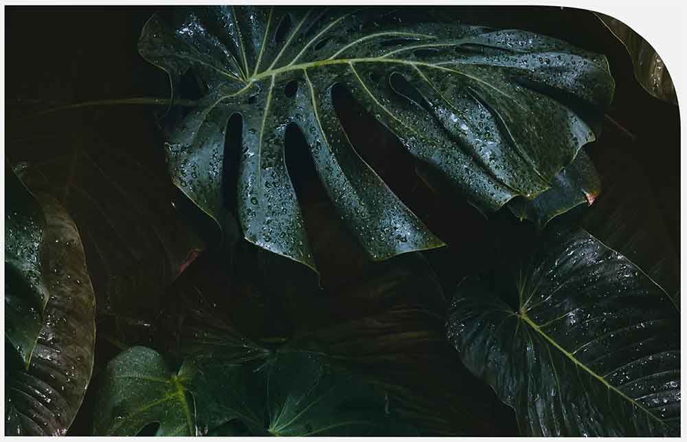 home_synthesishuis_odipero_1